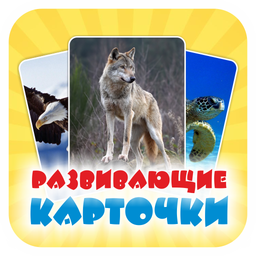 Развивающие карточки