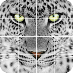 Пазл: дикие животные