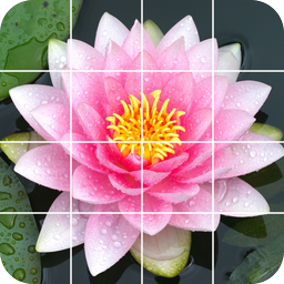 Пазл: красивые цветы